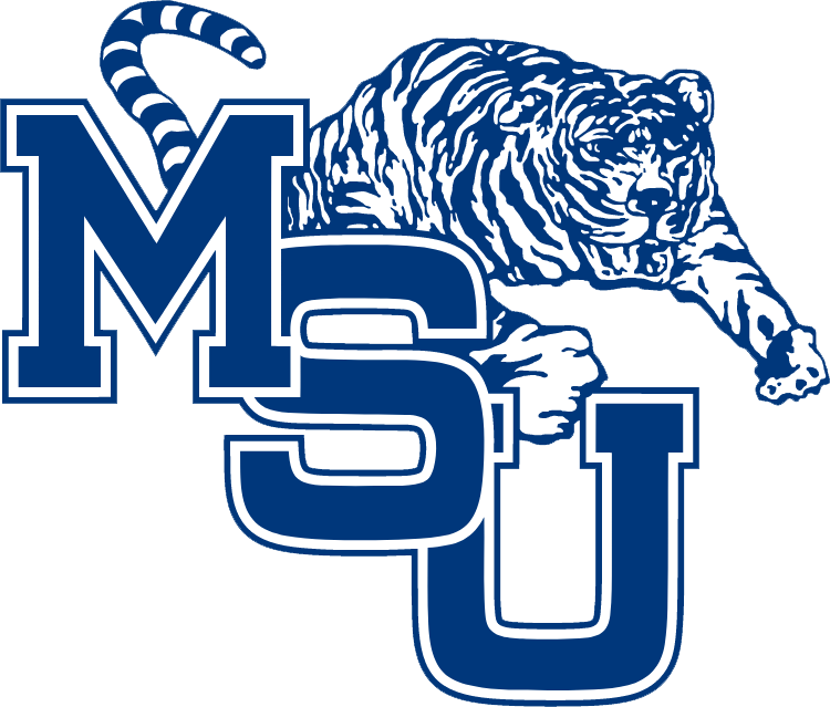 Memphis Tigers 1979-1989 Alternate Logo DIY iron on transfer (heat transfer)